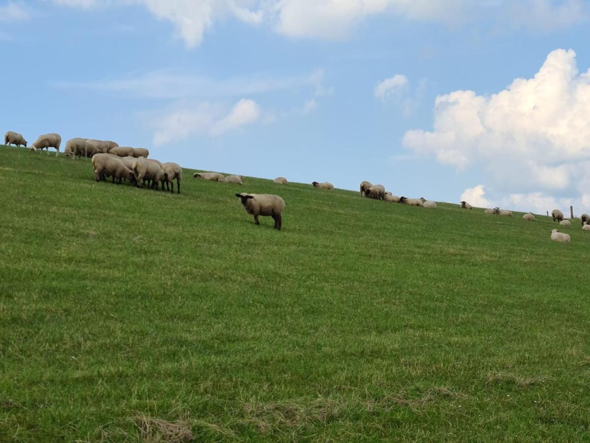 Watt'N Blick - Hundefreundliches Ferienhaus Mit Ausblick Ueber Die Wiesen Bis Zum Deich Schweiburg Esterno foto
